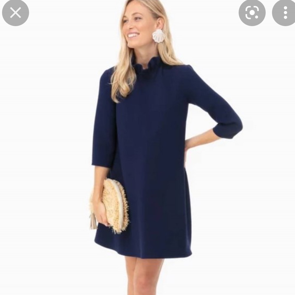 Tuckernuck pomander Place blue ruffle dress: never worn